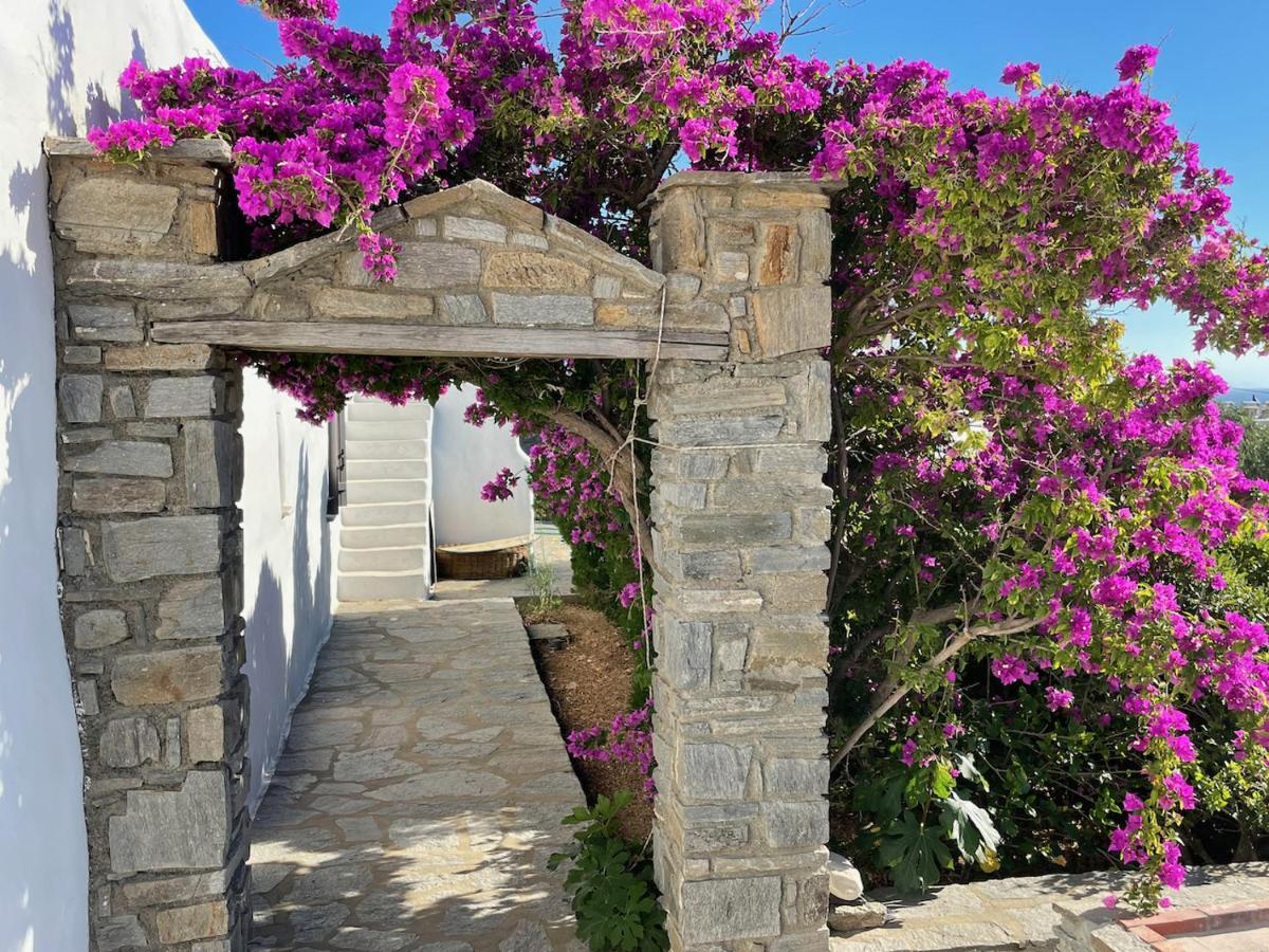 Villa Zeus - Parikia - Paros - Grece Krotiri Exteriör bild